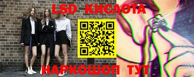 spice Берёзовский
